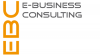 Consultoría E-business